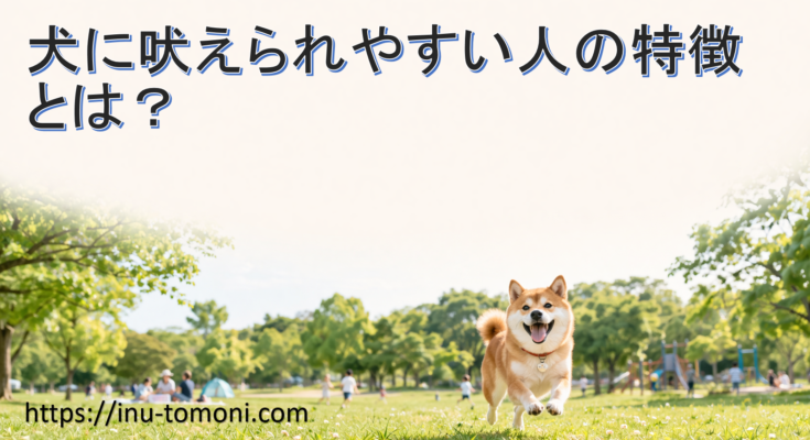 犬に吠えられやすい人の特徴とは？