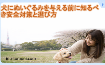 犬にぬいぐるみを与える前に知るべき安全対策と選び方