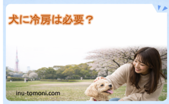 犬に冷房は必要？