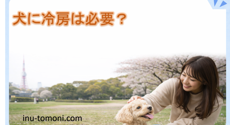 犬に冷房は必要?