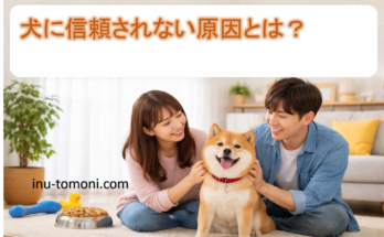 犬に信頼されない原因とは？