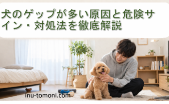 犬のゲップが多い原因と危険サイン・対処法を徹底解説