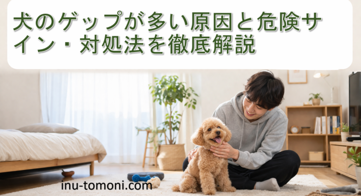 犬のゲップが多い原因と危険サイン・対処法を徹底解説
