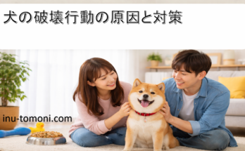 犬の破壊行動の原因と対策