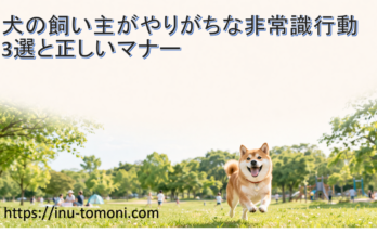 犬の飼い主がやりがちな非常識行動3選と正しいマナー