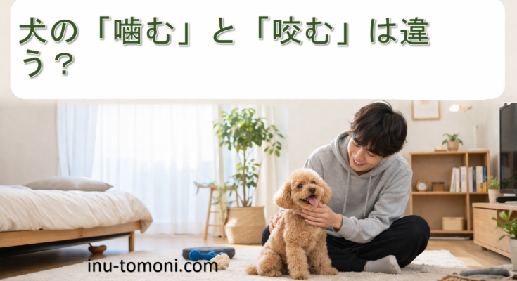 犬の「噛む」と「咬む」は違う？