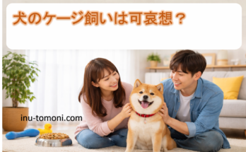 犬のケージ飼いは可哀想？