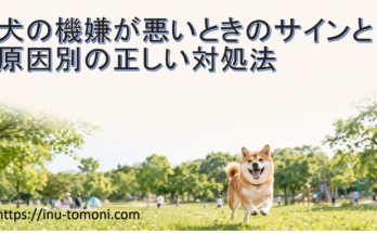 犬の機嫌が悪いときのサインと原因別の正しい対処法