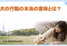犬の行動の本当の意味とは?誤解されやすいサインを徹底解説