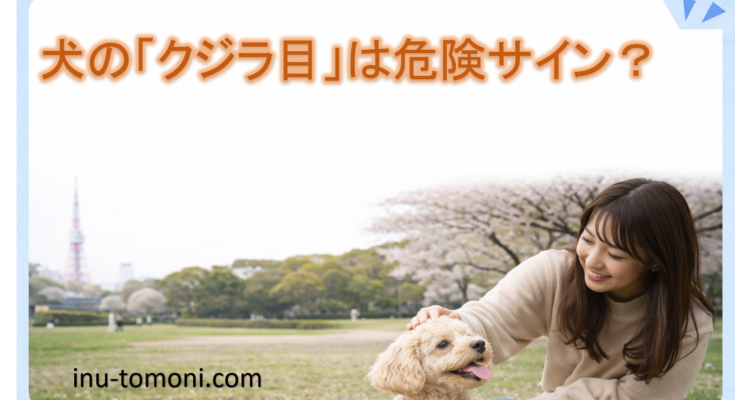 犬の「クジラ目」は危険サイン？