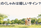 犬のくしゃみは嬉しいサイン？