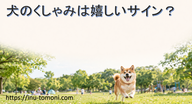 犬のくしゃみは嬉しいサイン？