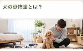 犬の恐怖症とは？