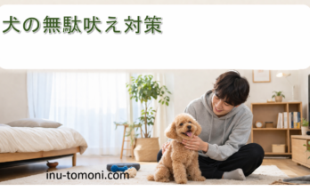 犬の無駄吠え対策