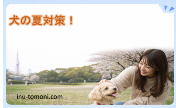 犬の夏対策！