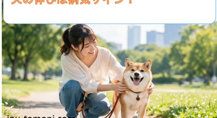 犬の伸びは病気サイン？