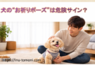犬の“お祈りポーズ”は危険サイン？