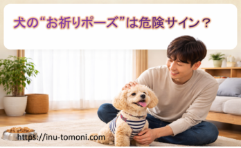 犬の“お祈りポーズ”は危険サイン？