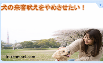 犬の来客吠えをやめさせたい！