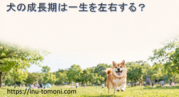 犬の成長期は一生を左右する?