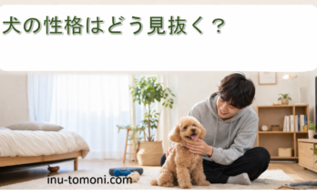 犬の性格はどう見抜く？
