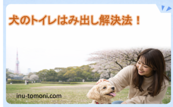 犬のトイレはみ出し解決法！
