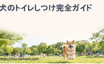 犬のトイレしつけ完全ガイド