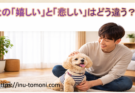 犬の「嬉しい」と「悲しい」はどう違う?表情と仕草で読み解く方法