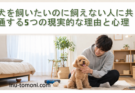 犬を飼いたいのに飼えない人に共通する5つの現実的な理由と心理