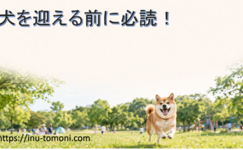 犬を迎える前に必読！