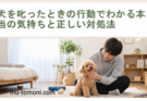 犬を叱ったときの行動でわかる本当の気持ちと正しい対処法