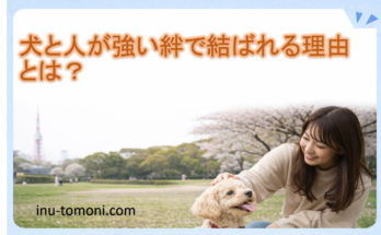 犬と人が強い絆で結ばれる理由とは？