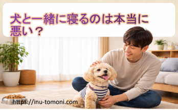 犬と一緒に寝るのは本当に悪い？