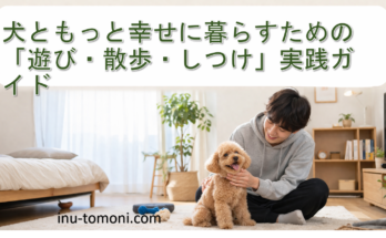 犬ともっと幸せに暮らすための「遊び・散歩・しつけ」実践ガイド