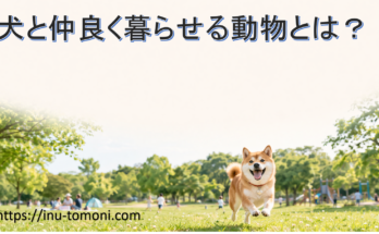 犬と仲良く暮らせる動物とは?