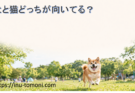 犬と猫どっちが向いてる？