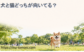 犬と猫どっちが向いてる？