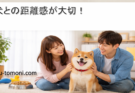 犬との距離感が大切！あえてそっとしておきたい4つのタイミング