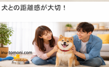 犬との距離感が大切！