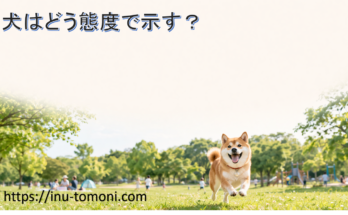 犬はどう態度で示す?
