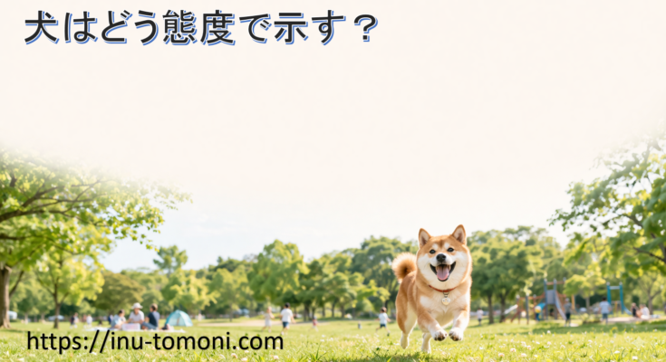 犬はどう態度で示す？