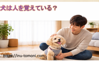 犬は人を覚えている?