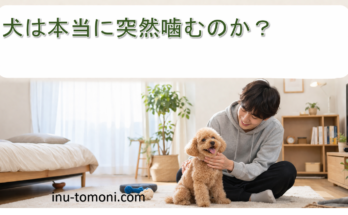 犬は本当に突然噛むのか？