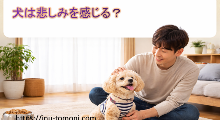 犬は悲しみを感じる？