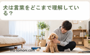 犬は言葉をどこまで理解している？