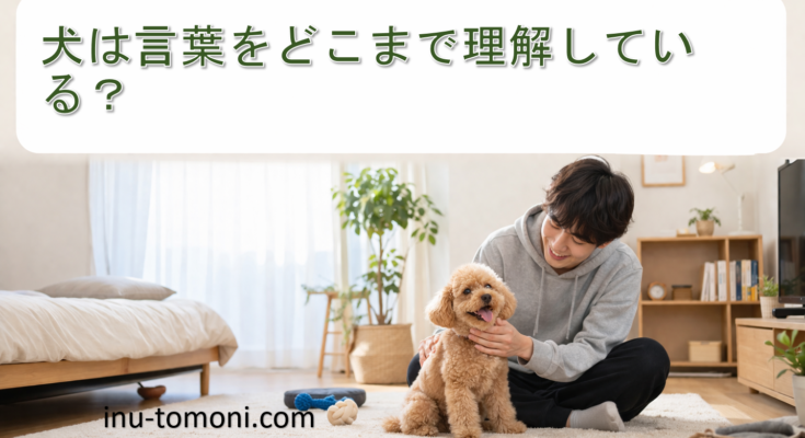 犬は言葉をどこまで理解している？