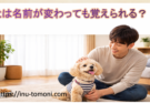 犬は名前が変わっても覚えられる？愛犬の認識と上手な呼び方を解説