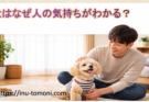 犬はなぜ人の気持ちがわかる?空気を読む力の秘密