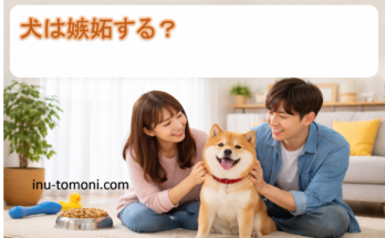 犬は嫉妬する？
