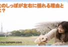 犬のしっぽが左右に揺れる理由とは？